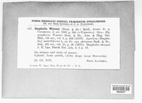 Image Associated With the Occurence